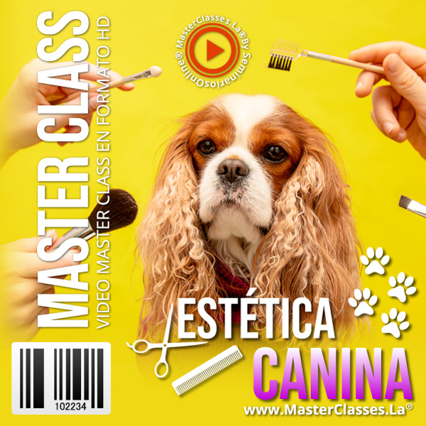 ESTETICA CANINA MASTERCLASSES.LA